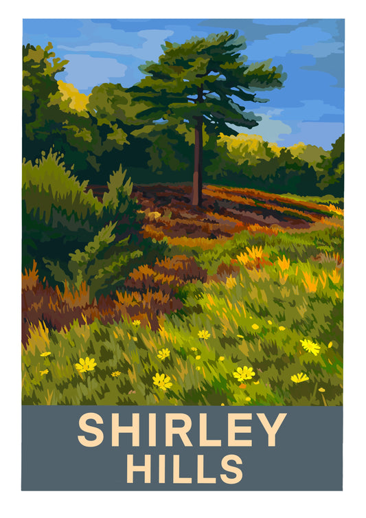 Retro travel poster art print of Shirley Hills, Croydon, Surrey on a summer's day with heathland and wildlowers